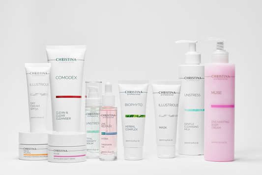 これだけ知っておけばOK!クリスティーナ【入門編】